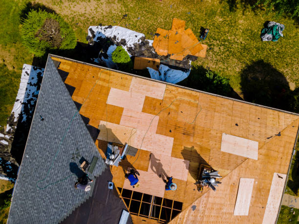 Best Residential Roofing Contractor  in Maurice, LA
