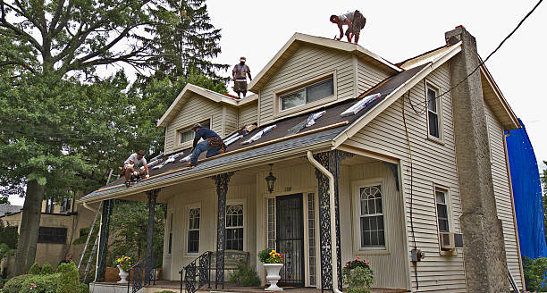 Best Flat Roof Repair Services  in Maurice, LA